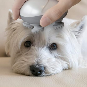 Pet massager